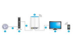 Connect to the Orbi Network